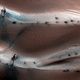 Illustration for article titled What are these mysterious black splotches on the surface of Mars?